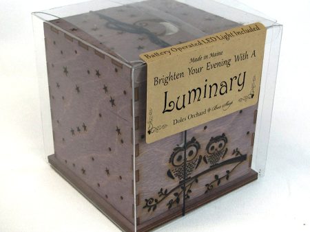 Luminary - Owls For Discount