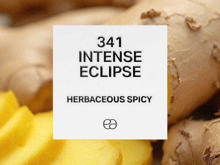 341 Intense Eclipse Discount